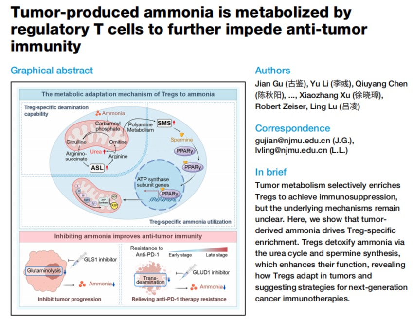 肿瘤细胞产生的氨重塑免疫抑制微环境并促进免疫治疗耐药
